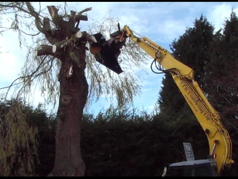 Still picture of Tree Cutter